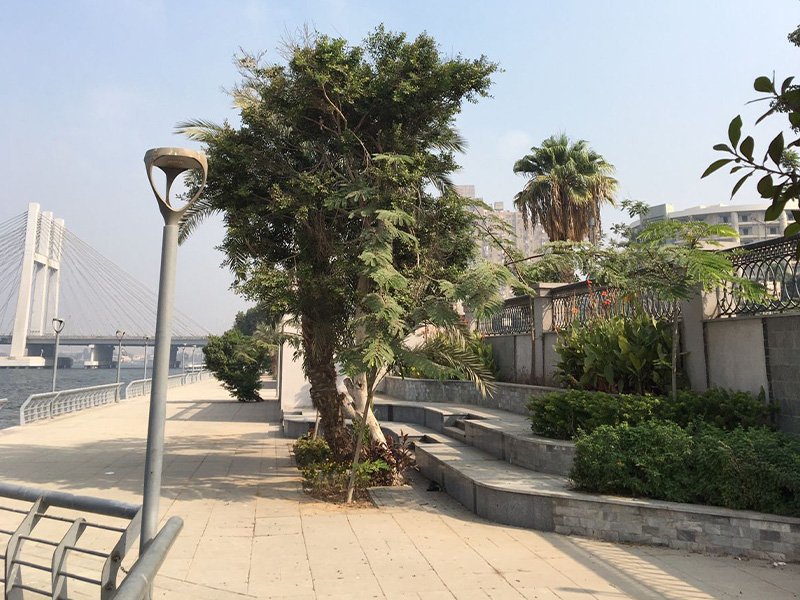 Cairo Walkway (1)