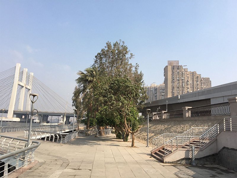 Cairo Walkway (8)