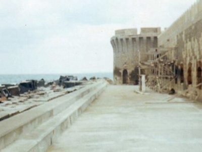 Citadel of Qaitbay marine protection (8)